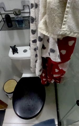 Apartamento para alugar com 54m², 1 quarto e sem vagaBanheiro