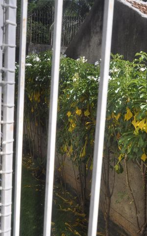 Apartamento à venda com 50m², 2 quartos e 1 vagaVista do Quarto