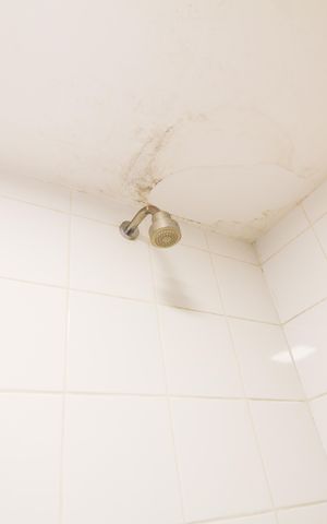 Apartamento à venda com 67m², 2 quartos e 1 vaga Apartamento à venda com 67m², 2 quartos e 1 vagaBanheiro da Suíte