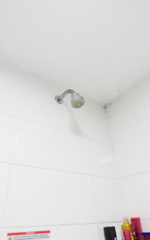 Apartamento à venda com 67m², 2 quartos e 1 vaga Apartamento à venda com 67m², 2 quartos e 1 vagaBanheiro Social