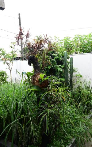 Casa à venda com 100m², 3 quartos e 2 vagasJardim