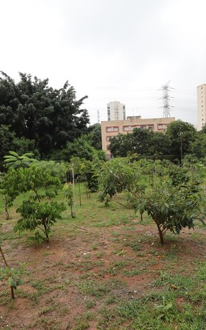 Apartamento à venda com 42m², 2 quartos e sem vagaBosque