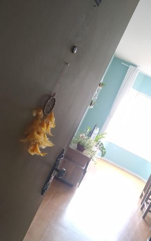 Apartamento à venda com 67m², 3 quartos e 1 vaga Apartamento à venda com 67m², 3 quartos e 1 vagaSala