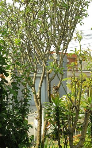 Casa à venda com 220m², 3 quartos e 2 vagasQuarto 1  Vista 
