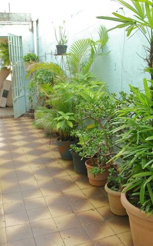 Casa à venda com 220m², 3 quartos e 2 vagasQuintal  lateral 