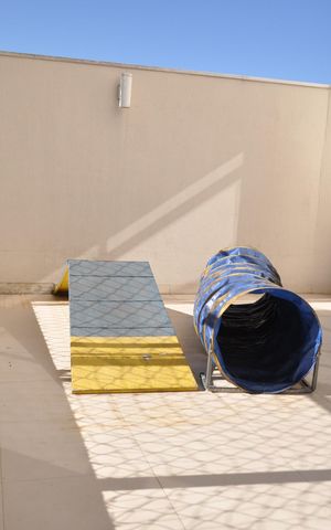 Apartamento para alugar com 68m², 3 quartos e 1 vagaPet Place