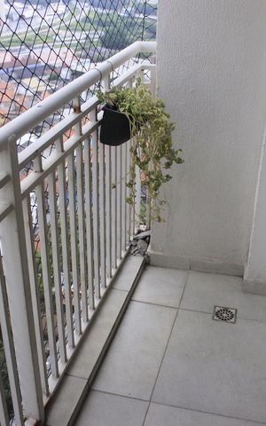 Apartamento à venda com 64m², 3 quartos e 1 vagaVaranda