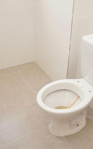 Apartamento à venda com 69m², 2 quartos e 1 vaga Apartamento à venda com 69m², 2 quartos e 1 vagaBanheiro Social