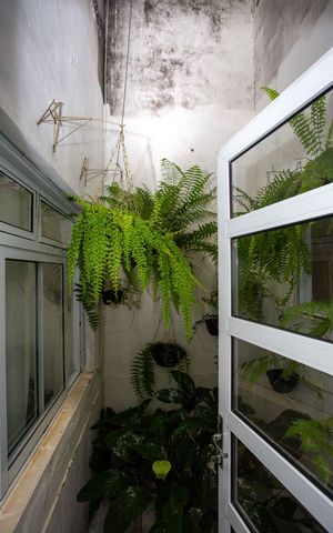 Casa à venda com 290m², 2 quartos e 7 vagasJardim