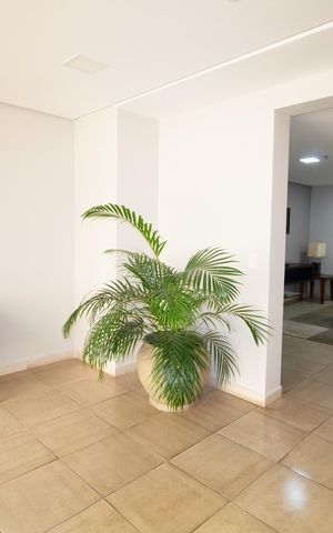 Apartamento para alugar com 27m², 1 quarto e 1 vagaÁrea comum