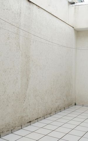 Casa para alugar com 175m², 6 quartos e 3 vagasQuintal
