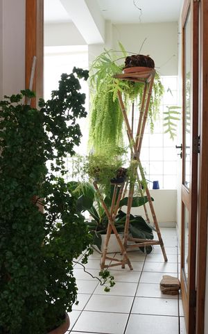 Casa para alugar com 175m², 6 quartos e 3 vagasEspaço de Convivencia