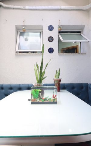 Apartamento à venda com 55m², 2 quartos e 1 vagaEspaço Gourmet