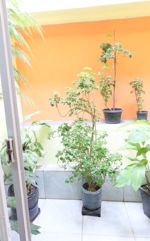 Casa à venda com 171m², 2 quartos e 1 vagaSala