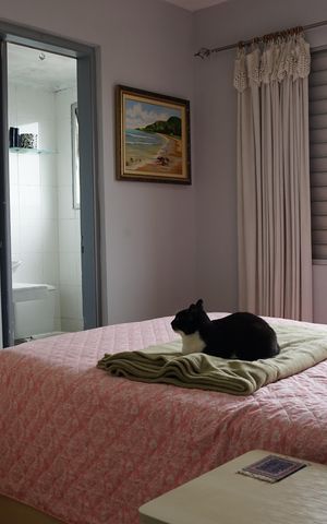 Apartamento para alugar com 62m², 2 quartos e 1 vagaQuarto 2