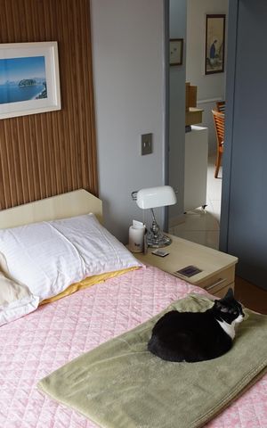 Apartamento para alugar com 62m², 2 quartos e 1 vagaQuarto 2