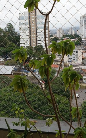 Apartamento para alugar com 62m², 2 quartos e 1 vagaSacada