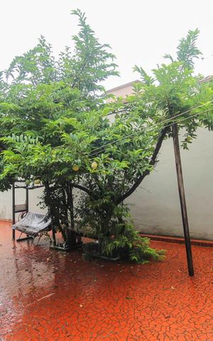 Casa para alugar com 182m², 3 quartos e 3 vagas