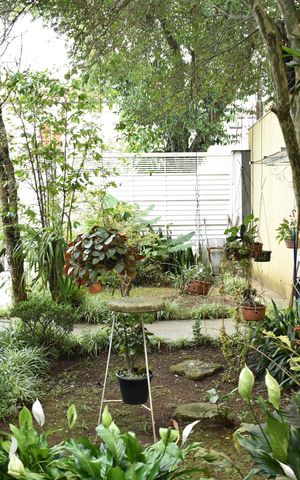 Casa para alugar com 342m², 8 quartos e 2 vagasSala
