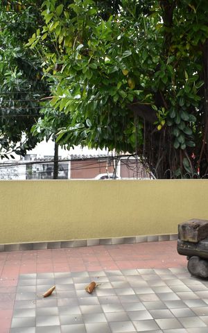 Casa para alugar com 342m², 8 quartos e 2 vagasÁrea externa