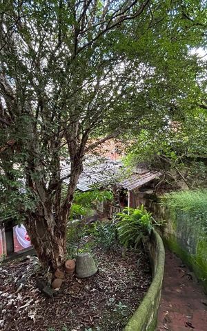 Casa à venda com 250m², 2 quartos e 7 vagas Casa à venda com 250m², 2 quartos e 7 vagasFoto 37