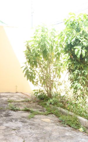 Casa à venda com 60m², 1 quarto e 2 vagasQuintal