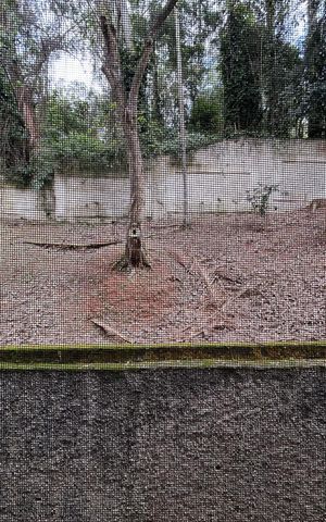 Apartamento para alugar com 48m², 2 quartos e 1 vaga Apartamento para alugar com 48m², 2 quartos e 1 vagaSala vista
