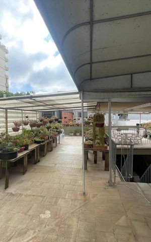 Casa à venda com 260m², 3 quartos e 1 vaga