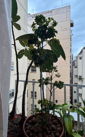Apartamento à venda com 114m², 3 quartos e sem vaga Apartamento à venda com 114m², 3 quartos e sem vagaQuarto 1 - vista