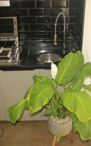 Apartamento à venda com 59m², 2 quartos e 1 vagaSala com varanda Gourmet 