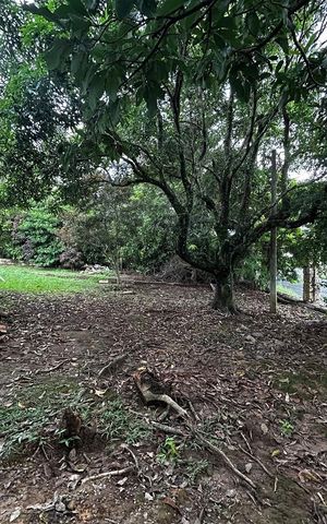 Casa de condomínio para alugar com 3000m², 6 quartos e 4 vagas Casa de condomínio para alugar com 3000m², 6 quartos e 4 vagasÁrea externa
