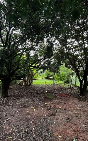 Casa de condomínio para alugar com 3000m², 6 quartos e 4 vagas Casa de condomínio para alugar com 3000m², 6 quartos e 4 vagasÁrea externa
