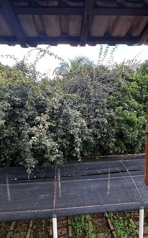 Casa de condomínio para alugar com 3000m², 6 quartos e 4 vagas Casa de condomínio para alugar com 3000m², 6 quartos e 4 vagasVista