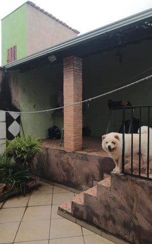 Casa à venda com 239m², 3 quartos e 3 vagasÁrea Gourmet