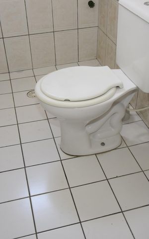Casa para alugar com 60m², 1 quarto e sem vagaBanheiro