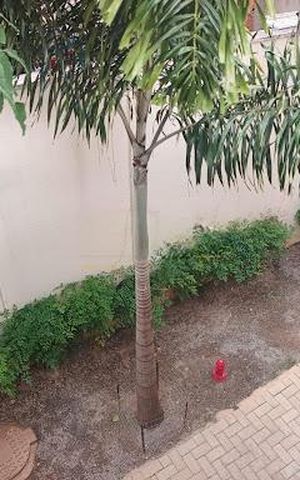 Apartamento à venda com 50m², 2 quartos e sem vaga