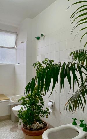 Apartamento à venda com 74m², 3 quartos e sem vagaBanheiro