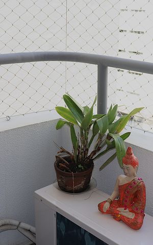 Apartamento à venda com 65m², 2 quartos e 1 vagaVaranda