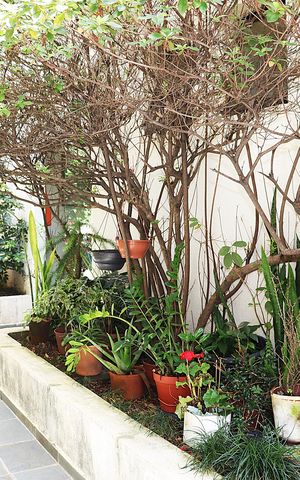 Apartamento à venda com 65m², 2 quartos e 1 vagaÁrea Comum