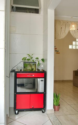 Apartamento à venda com 67m², 3 quartos e 1 vagaCozinha e Área de Serviço