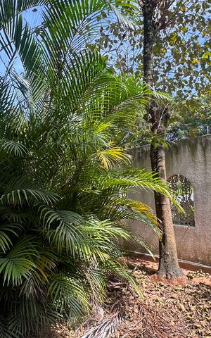 Casa à venda com 283m², 3 quartos e 4 vagas Casa à venda com 283m², 3 quartos e 4 vagasQuintal