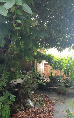 Casa à venda com 360m², 3 quartos e 15 vagasQuintal