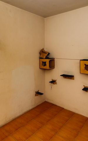 Apartamento à venda com 76m², 3 quartos e 1 vagaQuarto 3
