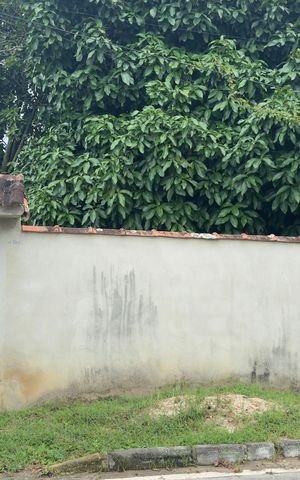 Casa para alugar com 529m², 2 quartos e 7 vagasFachada e Quintal