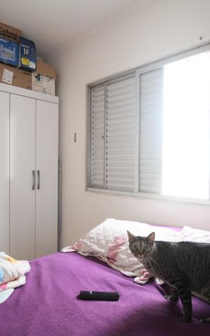 Apartamento à venda com 65m², 2 quartos e 1 vagaQuarto 1