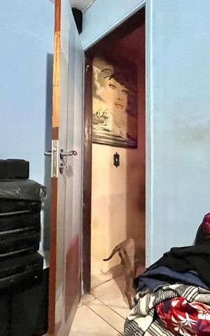 Casa à venda com 164m², 5 quartos e 1 vaga