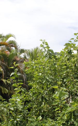 Casa de condomínio à venda com 96m², 3 quartos e 2 vagasVaranda
