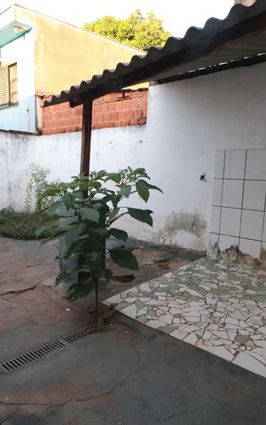 Casa para alugar com 200m², 2 quartos e 1 vagaÁrea de serviço 