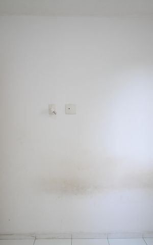 Apartamento à venda com 48m², 2 quartos e 1 vagaQuarto 2