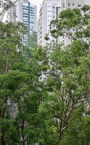 Apartamento à venda com 223m², 3 quartos e 4 vagasVista da Suíte 1